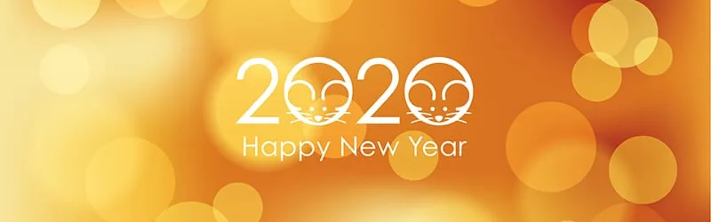 闹心之年