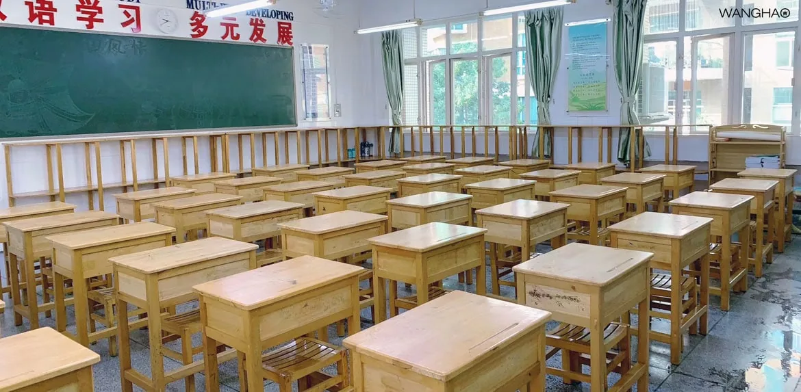 夏花绚烂美如画 恰是少年归来时