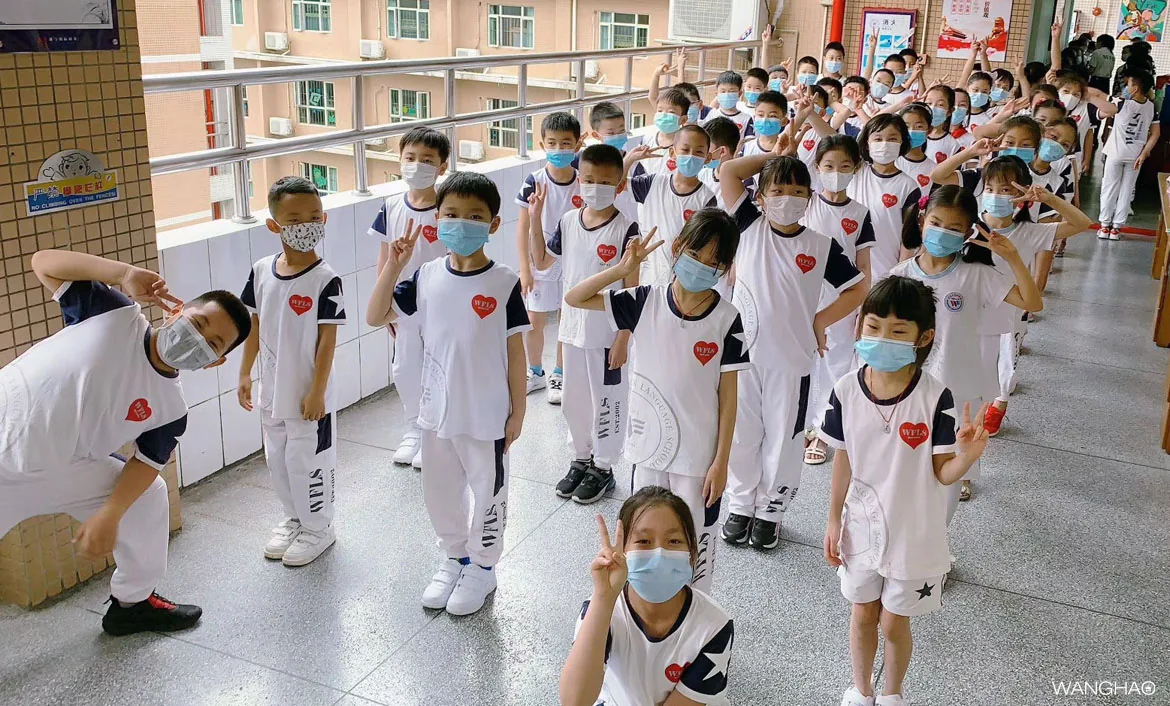 夏花绚烂美如画 恰是少年归来时