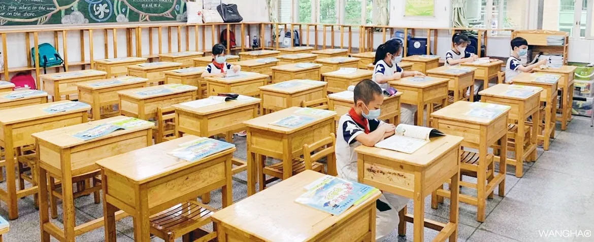 夏花绚烂美如画 恰是少年归来时