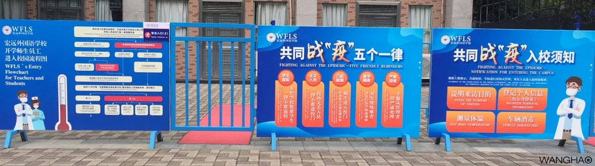 夏花绚烂美如画 恰是少年归来时