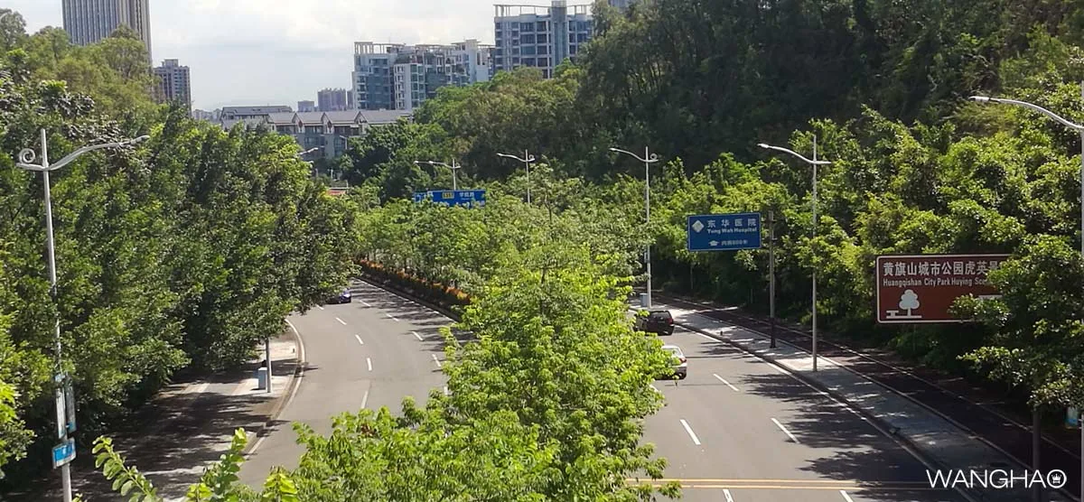城迹之虎英公园