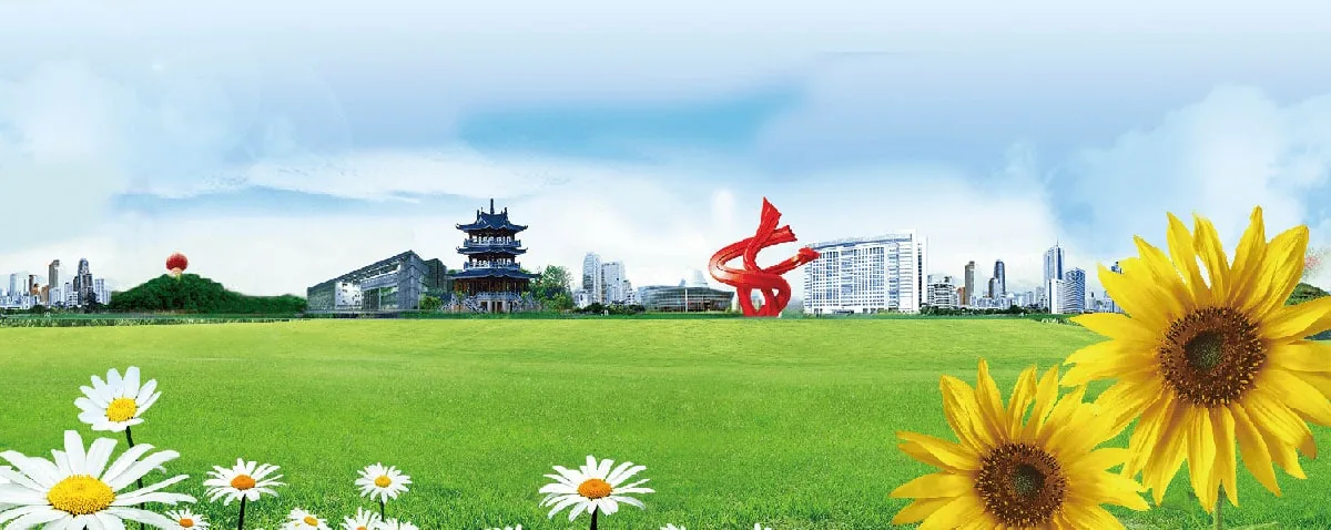 乘风破浪20年