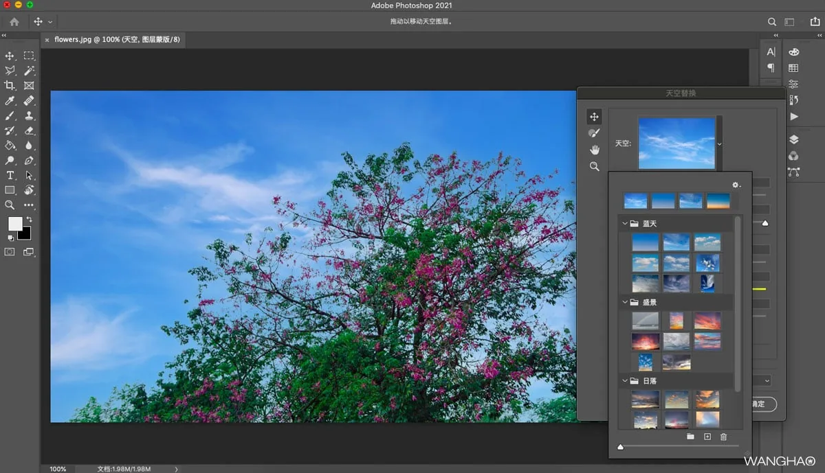 Adobe Photoshop 2021 Mac破解版