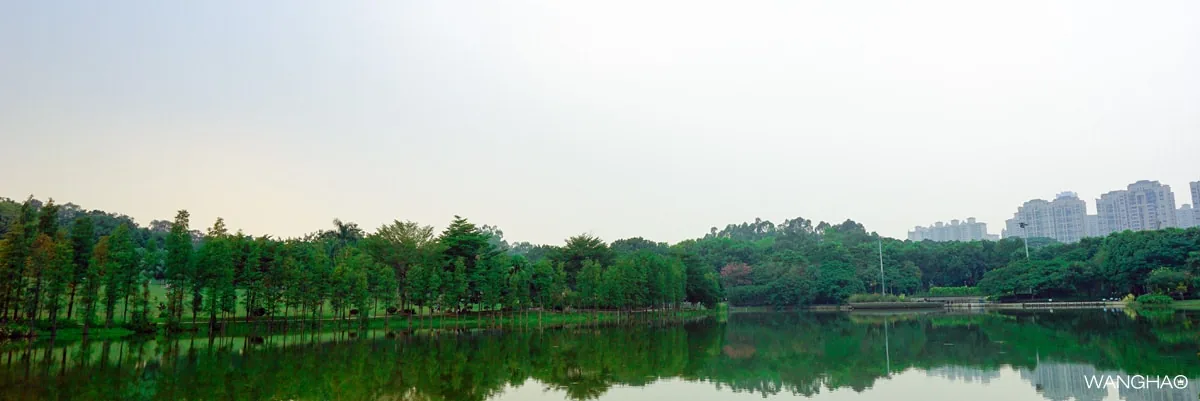 东莞植物园