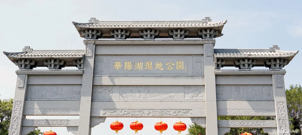印象水乡华阳湖