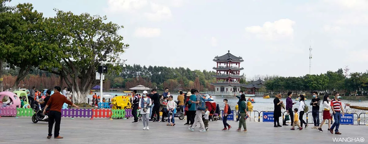 印象水乡华阳湖