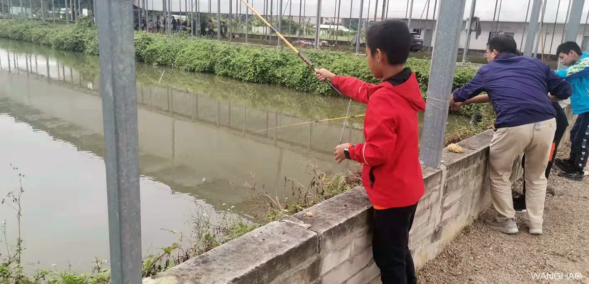 钓鱼