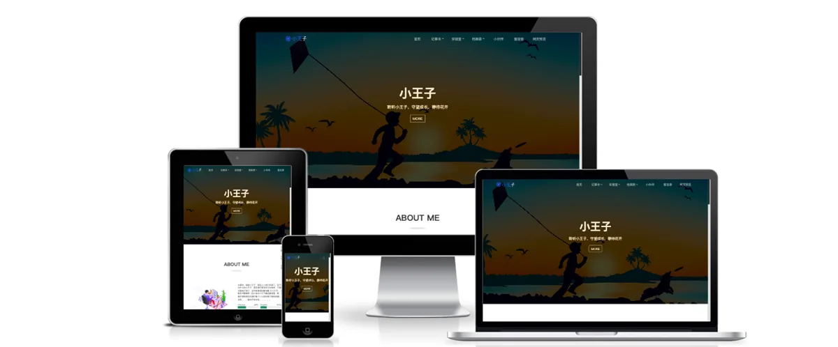 WordPress 主题作者和版本等信息的调用