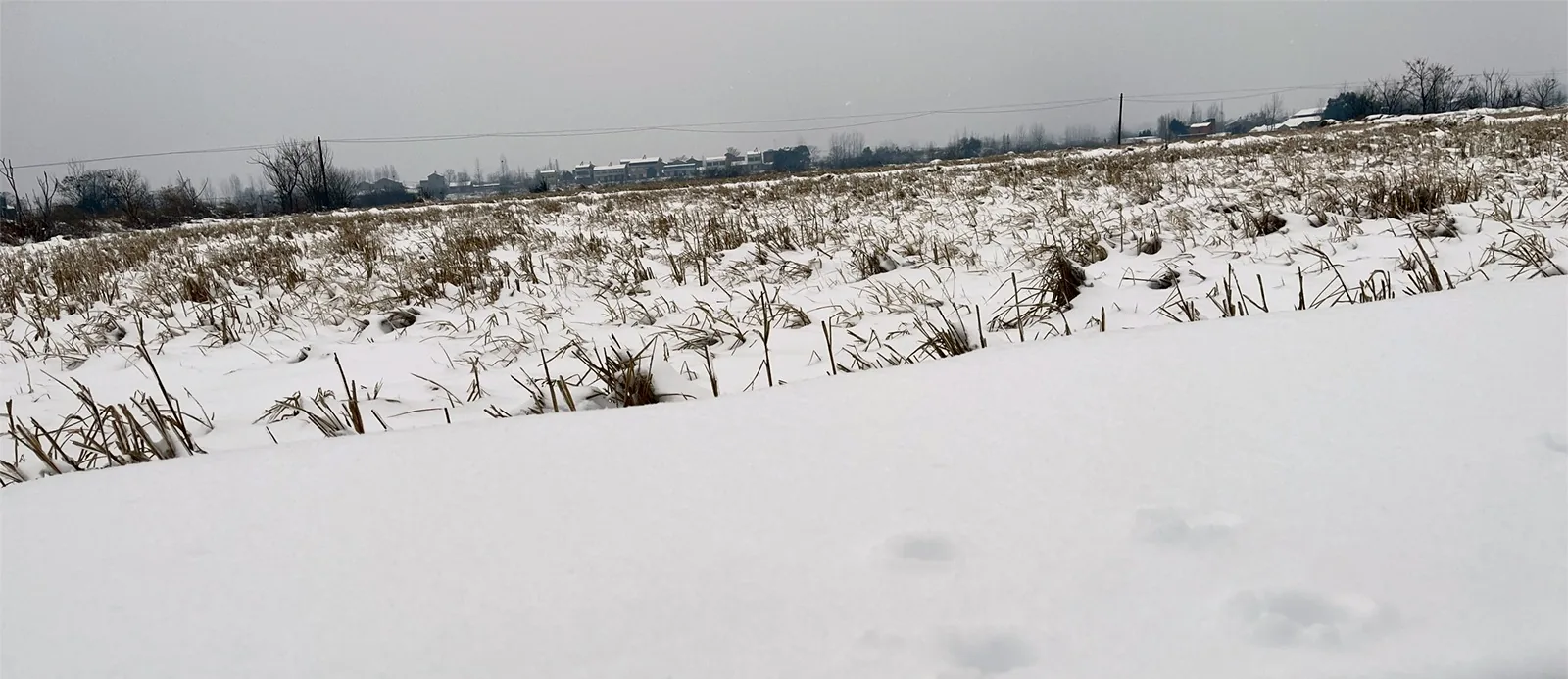 春节归途：穿越冰雪，温情满载！